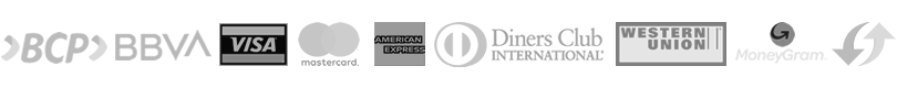 medios de pagos visa